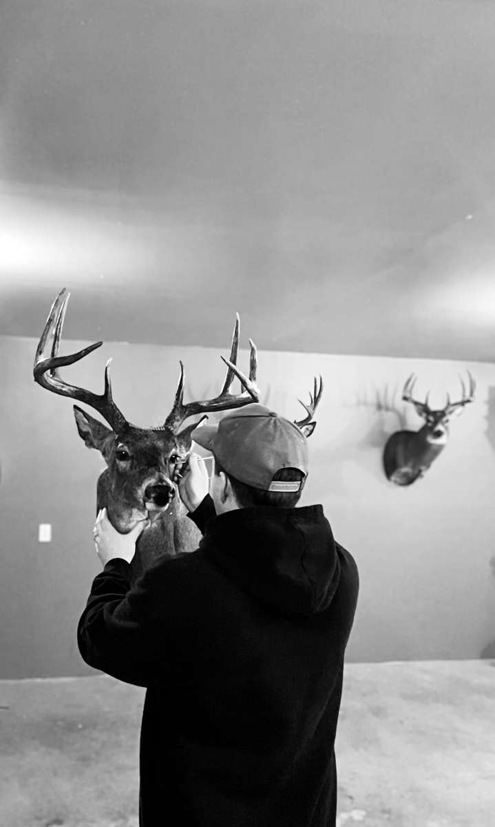 Alberta Peak Taxidermy Alberta Peak Taxidermy